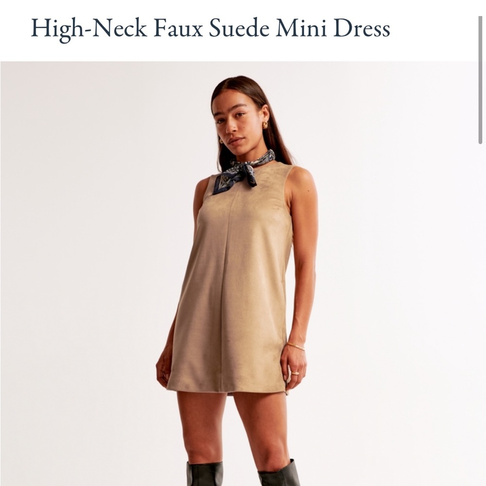Abercrombie Suede Dress